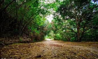 Imagem 5: AVH166 - Privê Haras de Aldeia - Casa das Palmeiras