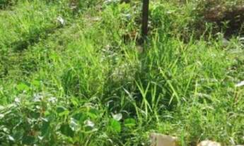 Imagem 3: Terreno no 18 do forte