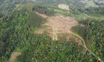 Imagem 4: Área à venda, 151.250 m² por R$ 1.200.000 - Rodeio/SC