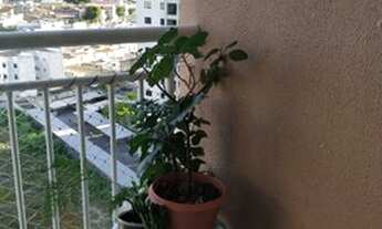 Imagem 7: Lt; Spazio Acqua