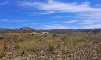 Imagem 3: Fazenda a venda em Campo Alegre - Go - 870 Ha - Jóia Rara!