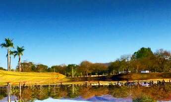 Imagem 7: Casa de condomínio térrea para venda com 284 m² - Condomínio Gran Royalle Pirâmide