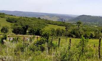 Imagem 5: Chácara - ideal para plantio de Oliveiras e Nogueiras