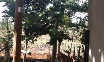 Imagem 5: Vendo ou troco Chácara com venda por R$190.000