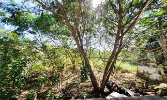 Imagem 4: Terreno na Curicica próximo à estrada dos Bandeira