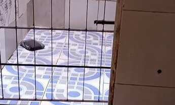 Imagem 2: Aluga-se casa do pereira lobo