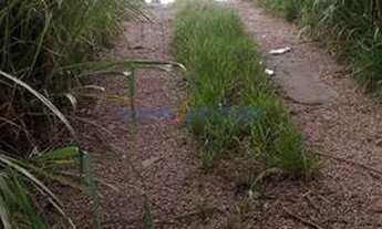 Imagem: Terreno - Dois Córregos - Valinhos