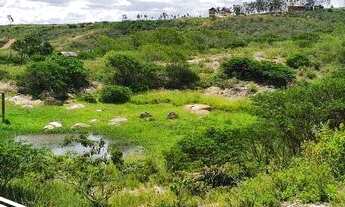 Imagem: Propriedade com 6 hectares em área central