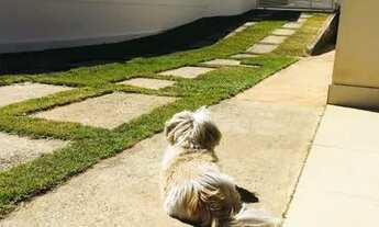 Imagem 4: Casa em Lagoa Santa