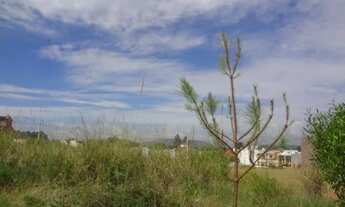 Imagem 5: Terreno para Venda - 0m², 0 dormitórios, Serraria