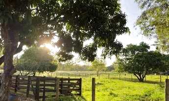 Imagem 2: Chácara para fim de semana