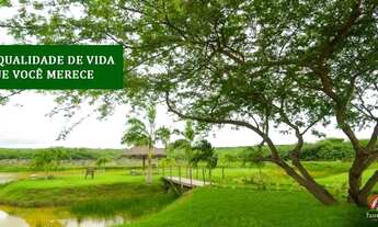 Imagem: Vendo lote de esquina, grande, ventilado