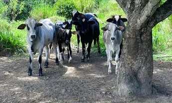 Imagem 3: Terreno em Aquidabã - 105 tarefas