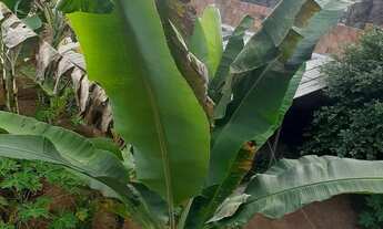 Imagem 4: Casa no selma Bandeira,Benedito Bentes