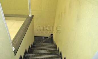 Imagem 7: SÃO PAULO - Casa Padrão - CAMBUCI