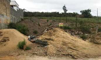 Imagem 2: Vendo Lote no Bairro Novo Horizonte