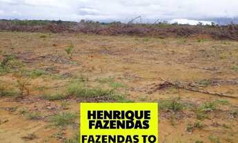 Imagem: Fazenda região Vale Araguaia dupla aptidão