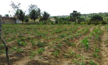 Imagem 4: Terreno em Araruna-PB - 510M² - Direto com proprietária