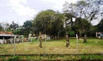 Imagem: Excelente Chácara Sem Benfeitorias