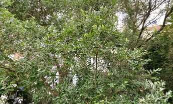 Imagem 3: Apartamento em Gávea