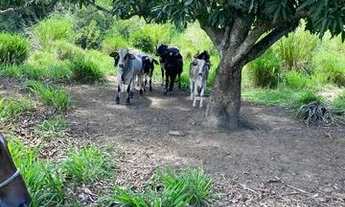 Imagem 4: Terreno em Aquidabã - 105 tarefas