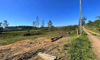 Imagem 4: Fazenda/Sítio/Chácara para venda tem 50000 metros quadrados em Área Rural de Taquara - Taq