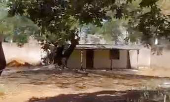 Imagem: Casa de 2 quartos em lote de 800m2, Rua