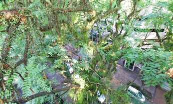 Imagem 3: EXCELENTE COBERTURA COM PISCINA, 2 VAGAS DE GARAGEM E 4 DORMITÓRIOS