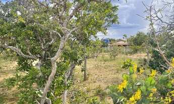 Imagem 5: Excelente oportunidade