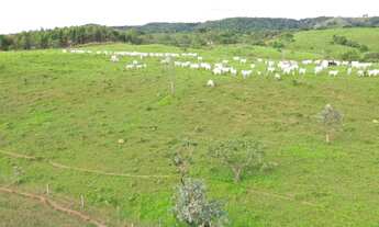 Imagem: Fazenda município de Abadiânia 82 alqueires