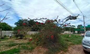 Imagem 5: Campestre manoa Chácara com venda por R$100.000