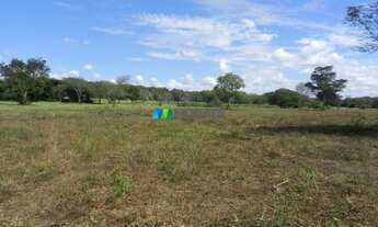 Imagem 4: FAZENDA À VENDA - 1.033 HECTARES - ENGENHEIRO DOLABELA (MG