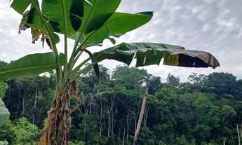 Imagem 5: Vendo terreno na BR 174 ZF 6