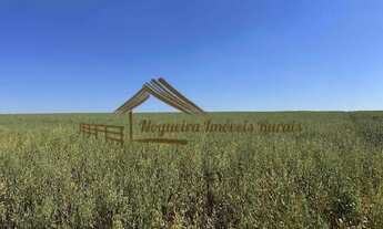 Imagem 6: Sitio com 3,5 alqueires em Tatuí-SP