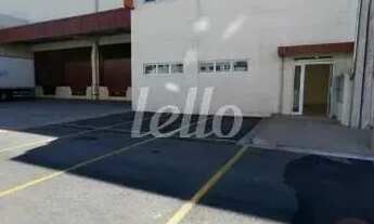 Imagem 5: Comercial para alugar no(a) Jardim Elias