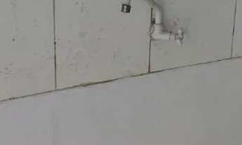 Imagem 6: Aluga-se Casa 1 dormitório