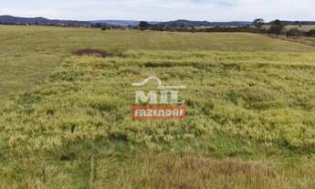 Imagem 4: Chácara 1.19 alqueires 5,8 hectares (58.000 m²) Morrinhos-GO