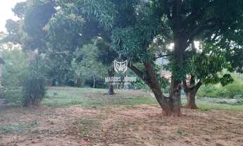 Imagem 3: LINDA CHACARA NA ESTRADA DA PRODUÇÃO A 13 KM DE MONTES CLAROS COM OTIMA ESTRUTURA