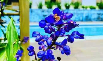 Imagem 3: Chácara em Caldazinha com 24.000 M2