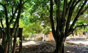 Imagem 4: Vendo chácara Chácara com venda por R$140.000