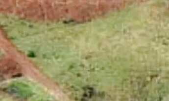 Imagem 5: Terreno à venda, 500 m² por R$ 70.000,00 - Barra Bonita - Três Barras do Paraná/PR