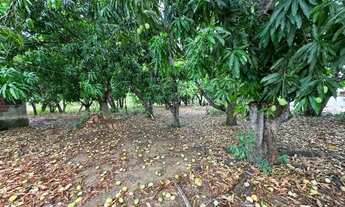 Imagem 3: Chácara Padre Bernardo Goiás