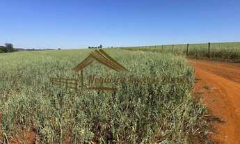 Imagem 7: Sitio com 3,5 alqueires em Tatuí-SP