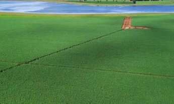 Imagem: Fazenda a venda 20.650 hec em Paranatinga