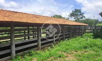 Imagem 2: FAZENDA À VENDA EM ACORIZAL - MT codigo: 111371