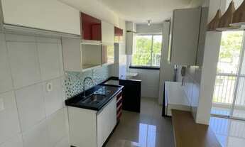 Imagem: Vendo apartamento em pau grande