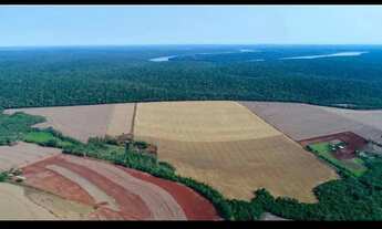 Imagem 5: Sítio em linha Boa Vista - Interior - Serranópolis do Iguaçu/PR