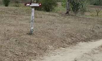 Imagem 3: Excelente fazenda de 6.000t , com sede, curral, represas, poços e pastagem