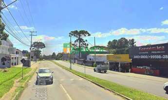 Imagem 4: Terreno à venda no Alto Tarumã com 408 m² - 4469