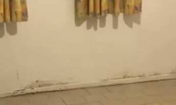 Imagem 2: Alugo apt 2/4 sem mobília no campeche